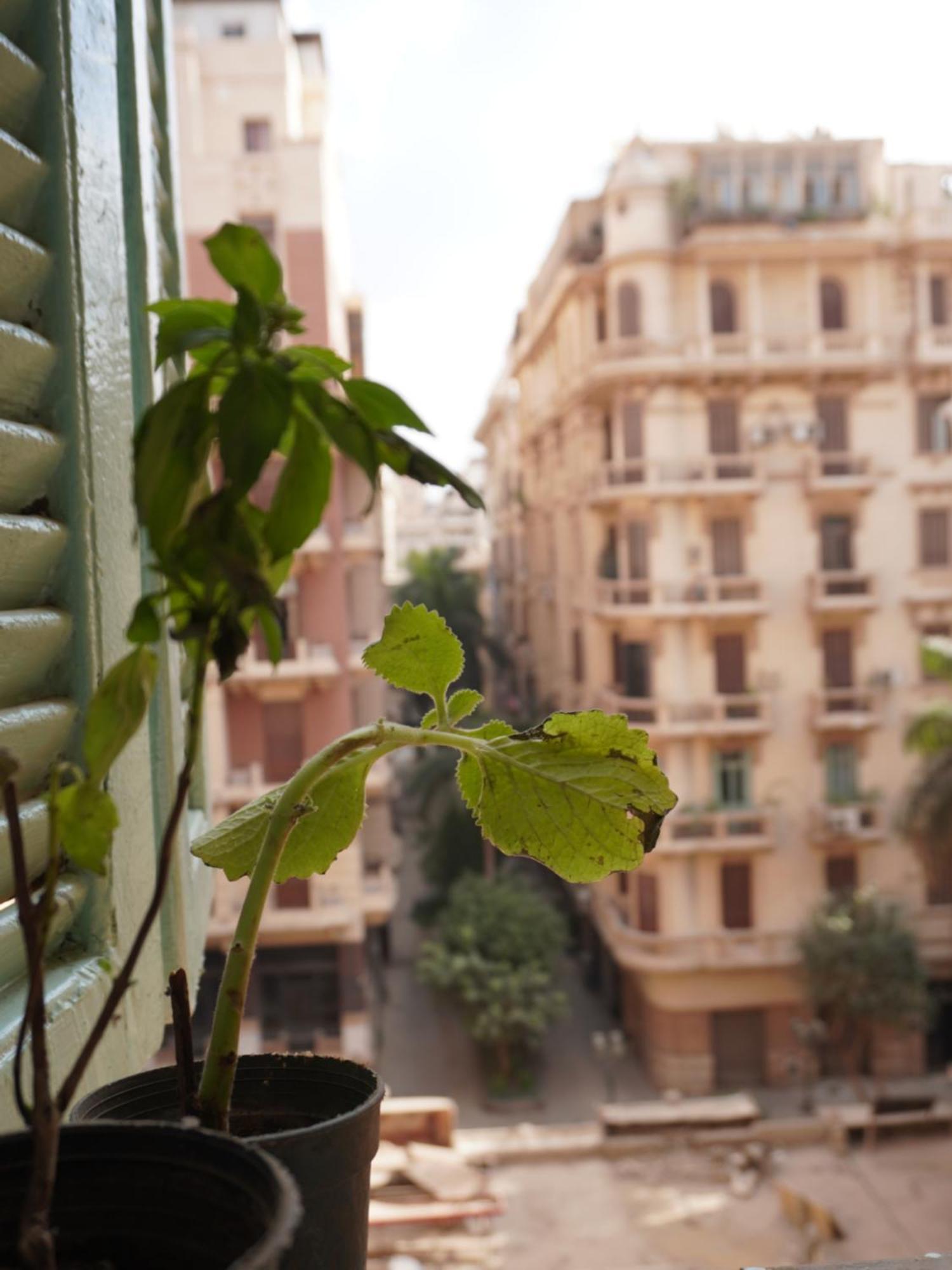 Rhala Hostel Egypt Il Il Cairo Esterno foto